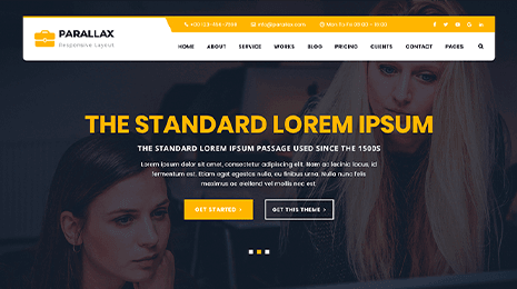 Parallax WordPress Theme