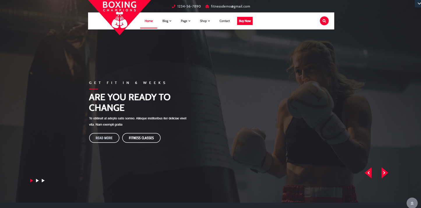 Free Boxing WordPress Theme