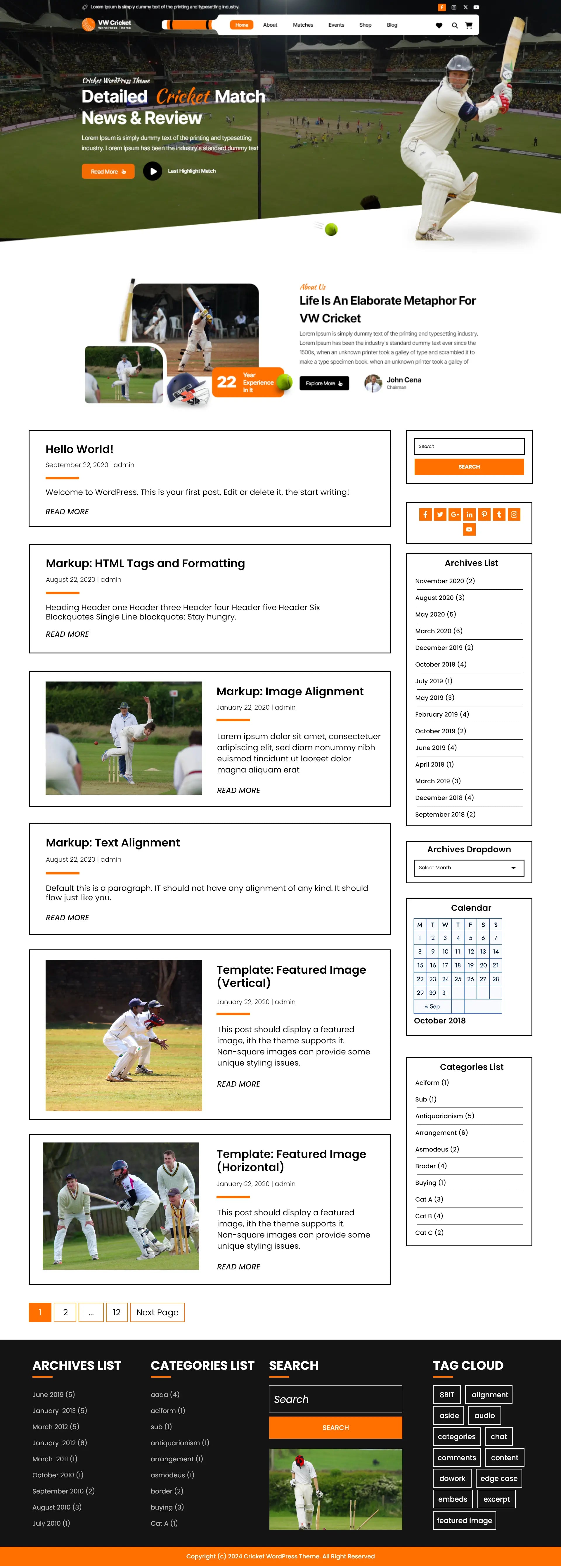 Free Cricket WordPress Theme