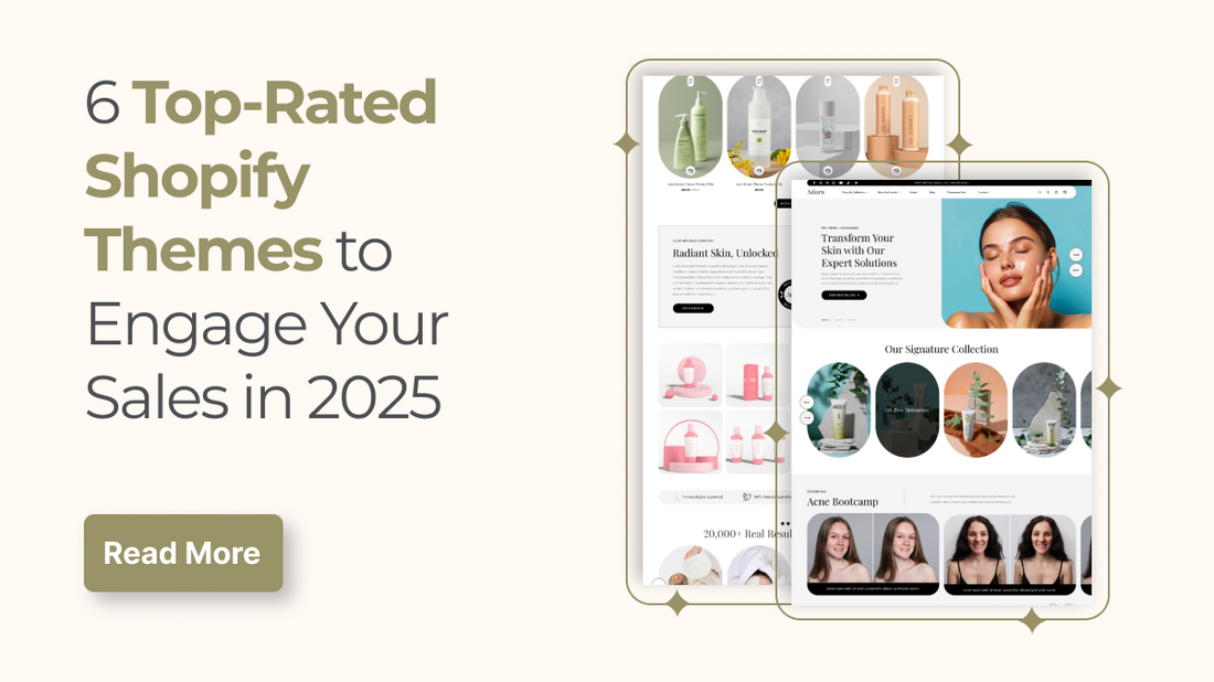 top-rated shopify theme