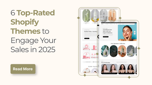 top-rated shopify theme