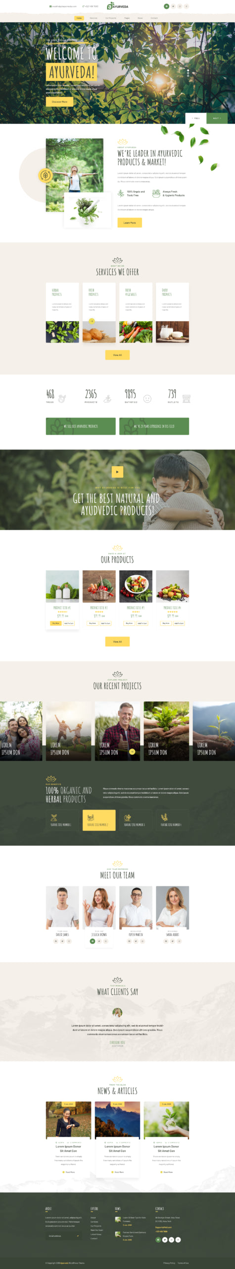 Herbal WordPress Theme For Herbal Stores And Spices Shop.