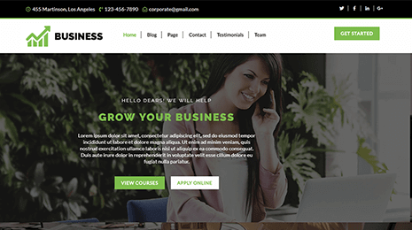Free Enterprise WordPress Theme Thumbnail 