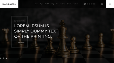 Black and White WordPress Theme Thumbnail