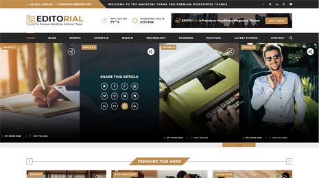 Free Editorial Service WordPress Theme Thumbnail 