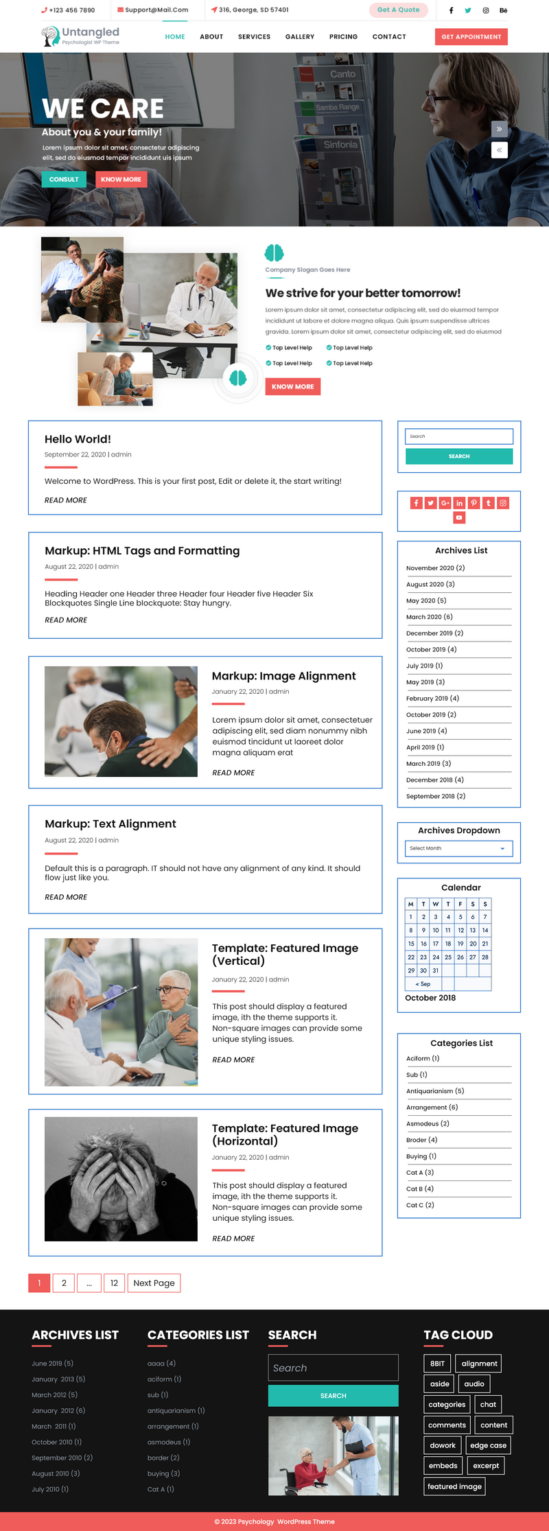 VW  mental health  care WordPress Theme