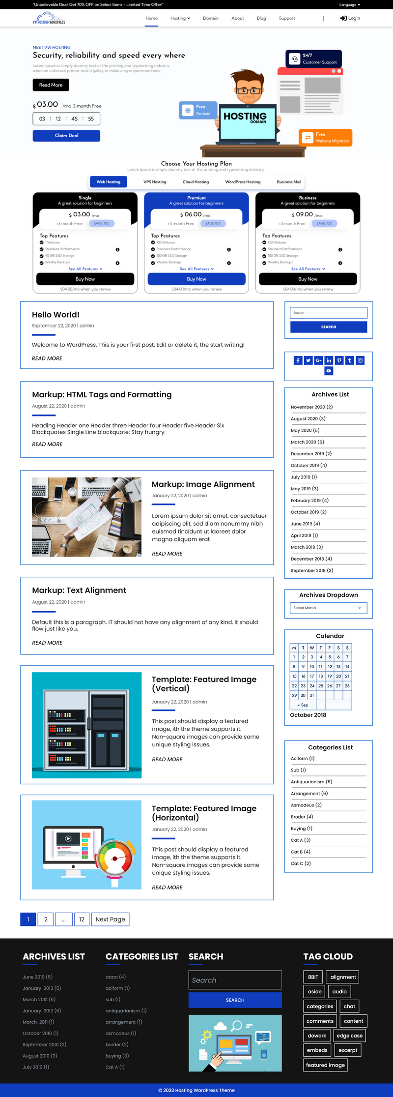 Web hosting wordpress -Theme