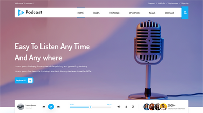 Radio WordPress Theme Thumbnail