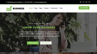 Enterprise WordPress Theme Thumbnail