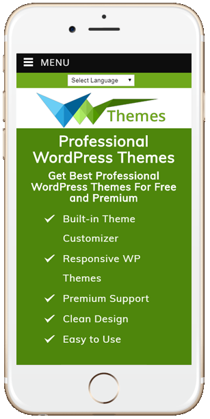 Simple WordPress Themes