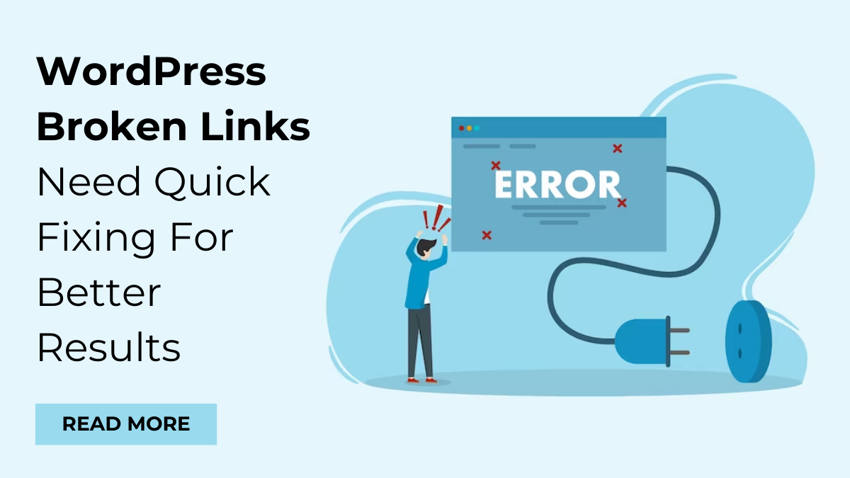 WordPress Broken Links