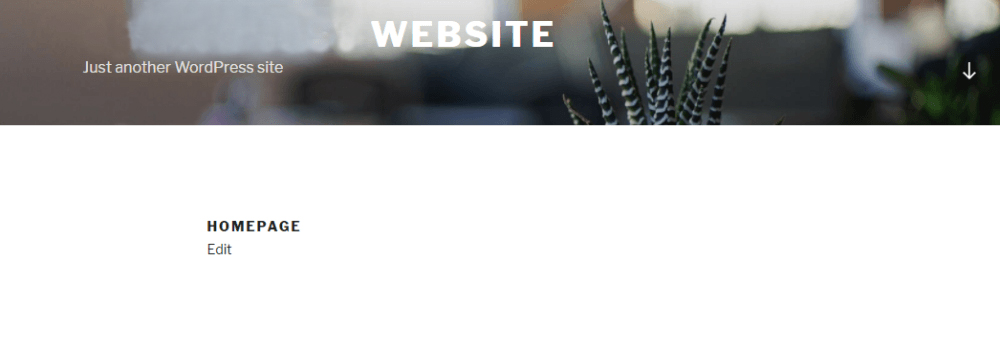 Static WordPress Homepage