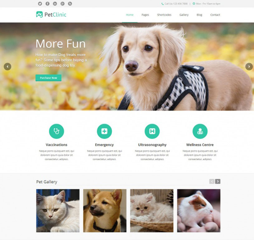 Pet rescue WordPress Theme