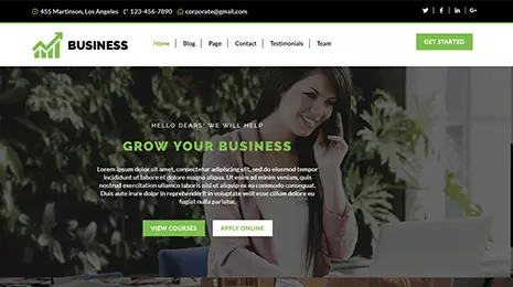 WordPress Theme for Business 