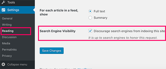 Search Engine Visibility WordPress  