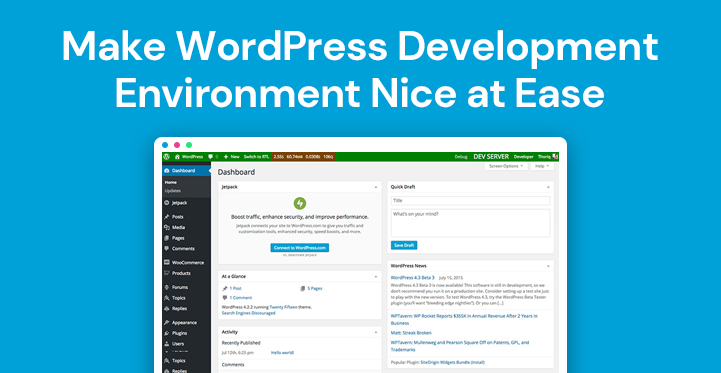 WordPress development environment 

