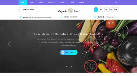 Organic Food WordPress Theme