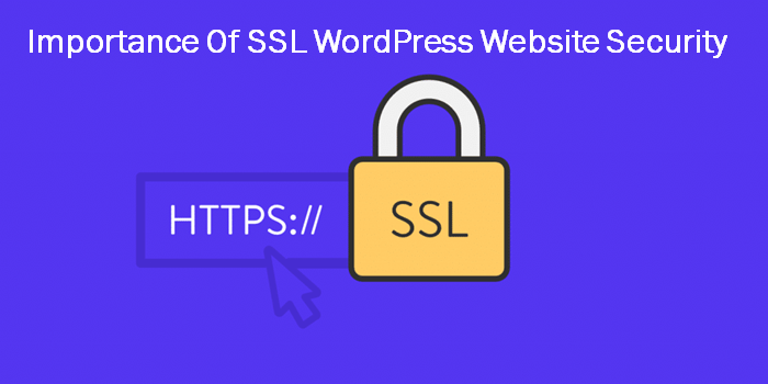 SSL WordPress Website security 