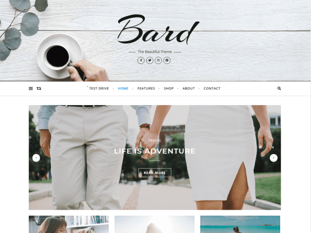 Bard Best Artist WordPress Themes