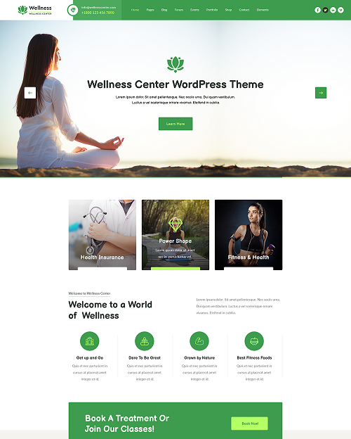 Free Wellness WordPress Theme