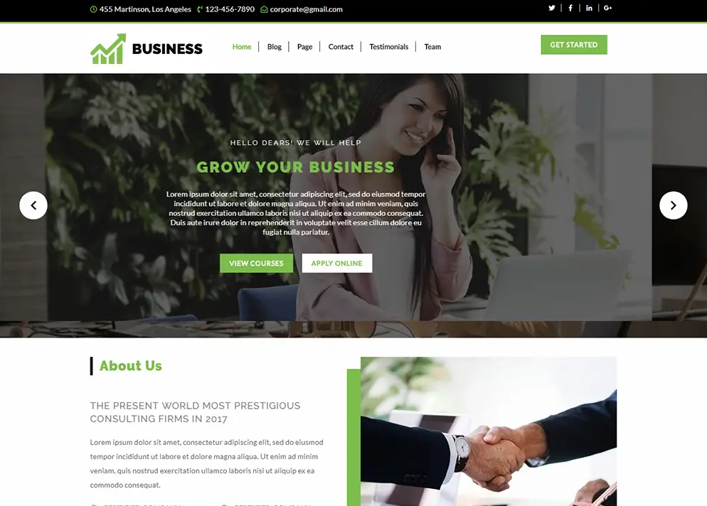 Free WordPress theme for business