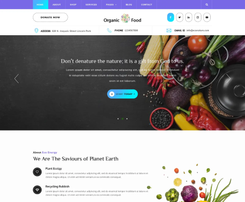Organic Food WordPress Theme 